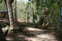 The Walk to Montezuma Falls - 2